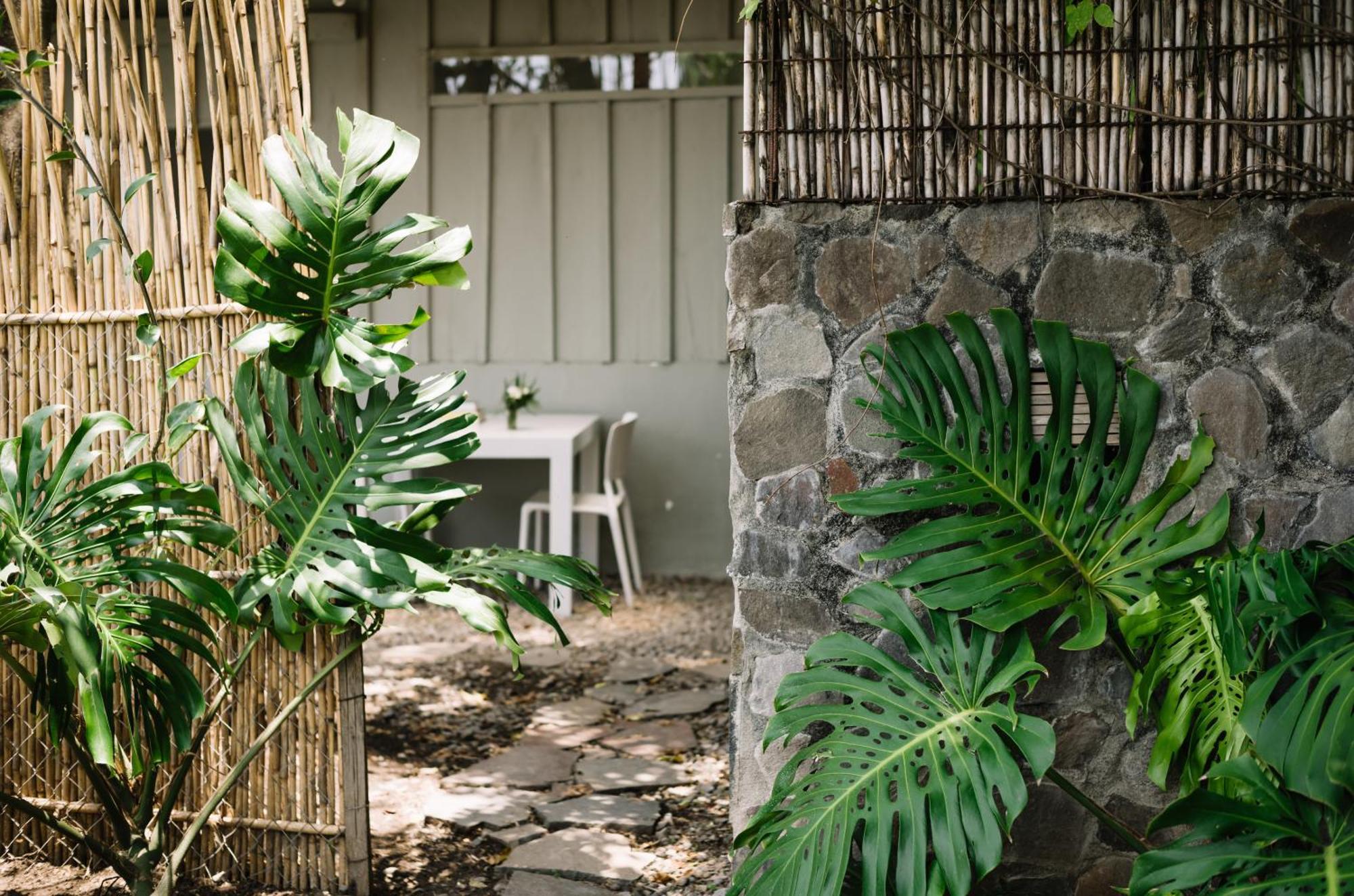サン・マルコス・ラ・ラグナ Anzan Atitlan Bed & Breakfast エクステリア 写真